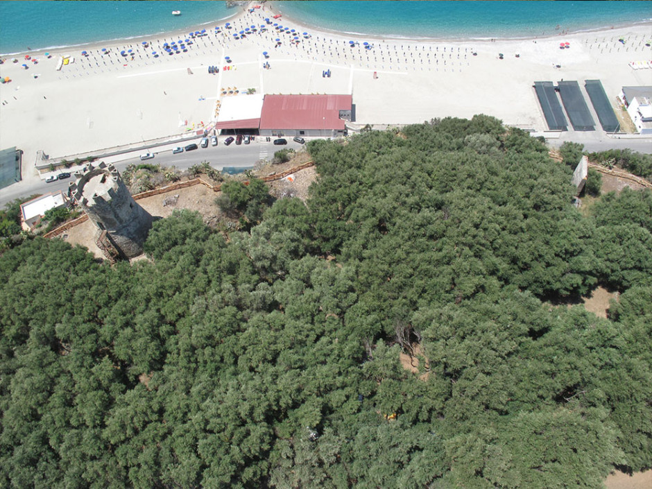 Palmi_giu2010_1